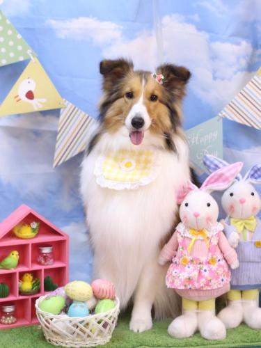 20240322ティーラちゃん